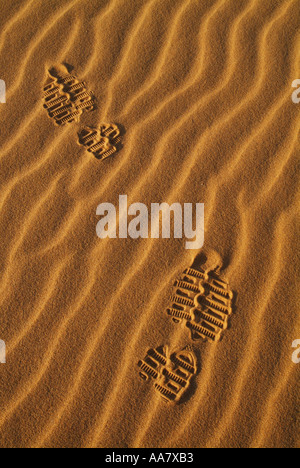Fußspuren im Sand Dune-Wellen in der Nähe von Carrapateira Algarve Portugal EU Europa Stockfoto