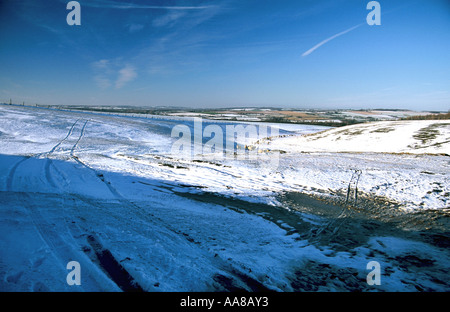 Schafe auf einem schneebedeckten Hügel in den Cotswolds in der Nähe von Leafield. Stockfoto