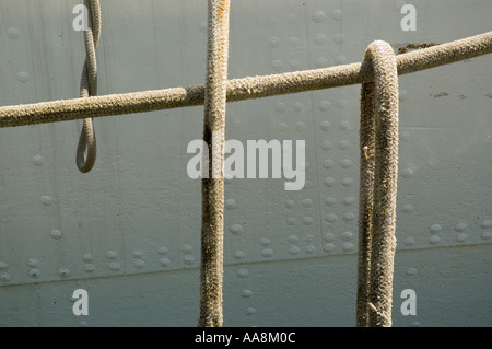 Seile hängen über den Rand eines angedockten Bootes im Hafen von Toronto Stockfoto