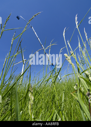 Windpark Parndorf, Österreich, Kran heben eine Kabine Stockfoto