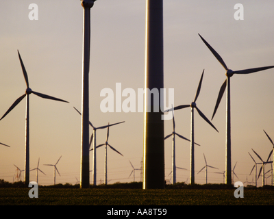 Windpark Parndorf, Österreich, Windräder am Abend Stockfoto