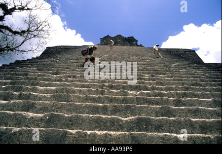 Tempel II Maya-Ruinen von Tikal Nationalpark Petén Region Guatemala Stockfoto