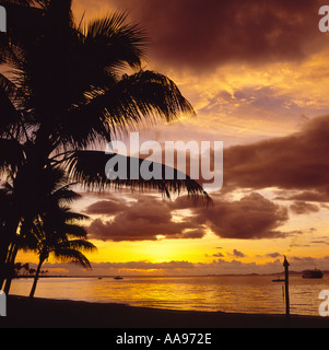 Spektakulären dramatischen Sonnenuntergang widerspiegelt in eine glatte ruhige See mit Silhouette der Palme aus Fidschi-Inseln Viti Levu Insel Stockfoto