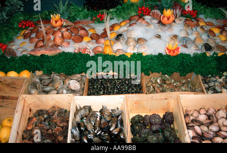 Meeresfrüchte-Display in einem Restaurant in Brüssel Belgien Stockfoto