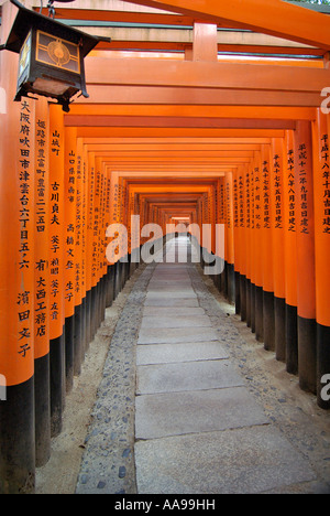 Orange lackiert Torii-Tore im Fushimi Inari-Taisha-Schrein in Kyoto Japan Stockfoto
