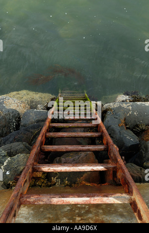 Leiter ins Meer gehen Stockfoto