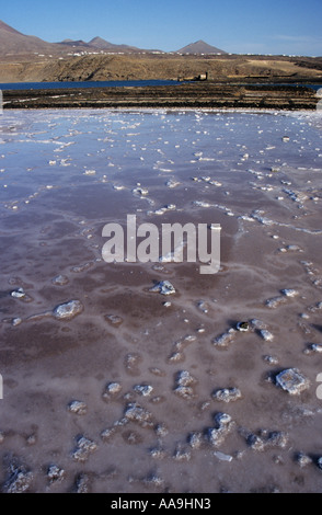 Das Kulturdenkmal Salinen Salinas de los Agujeros in der Nähe von Guatiza an der Südostküste von Lanzarote Kanaren Spanien Stockfoto