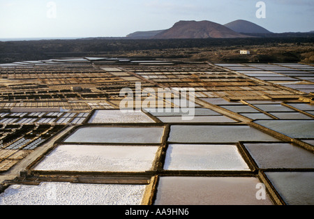 Das Kulturdenkmal Salinen Salinas de los Agujeros in der Nähe von Guatiza an der Südostküste von Lanzarote Kanaren Spanien Stockfoto