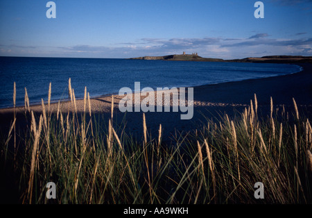 Dunstanburgh Castle Ruine an der Northumberland Küste in der Nähe von Alnwick Stockfoto