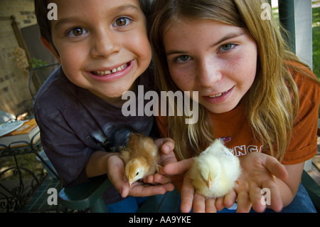 Zwei Kinder halten niedliche flauschige Küken Stockfoto