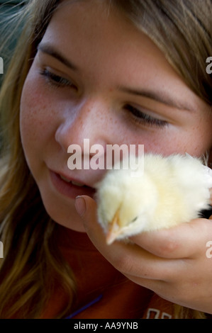 Mädchen halten niedliche flauschige gelbe Küken bis zur Wange Stockfoto