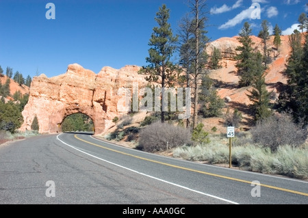 Ein zweispuriger Highway mit einer gelben Mittellinie führt durch einen roten Felsbogentunnel im Bryce Canyon National Park, Utah, USA. Stockfoto