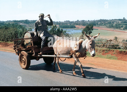 Kikuyu Mann auf einem Eselskarren tragen eine Trommel von Wasser in der Nähe von Limuru Central Provinz Kenia in Ostafrika Stockfoto