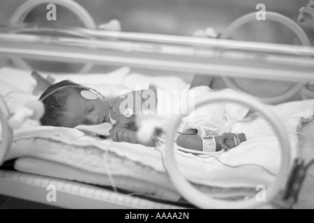 Baby in einer Brutmaschine neonatale Intensivstation Stockfoto