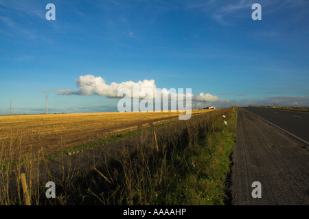 Feld im Alentejo, Portugal Stockfoto