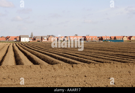 Acker Spalding UK Stockfoto