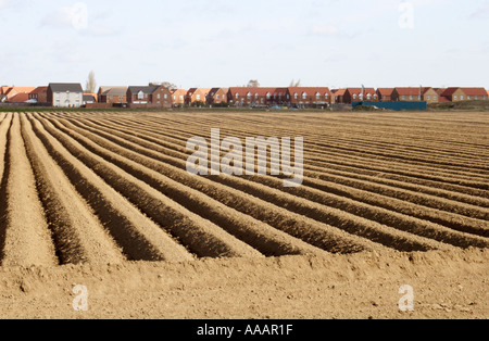 Acker Spalding UK Stockfoto