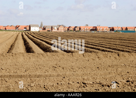 Acker Spalding UK Stockfoto