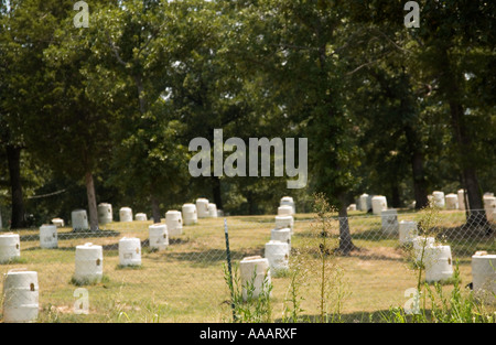 Malerischer Blick auf eine Hühnerfarm in Oklahoma, USA, Stockfoto