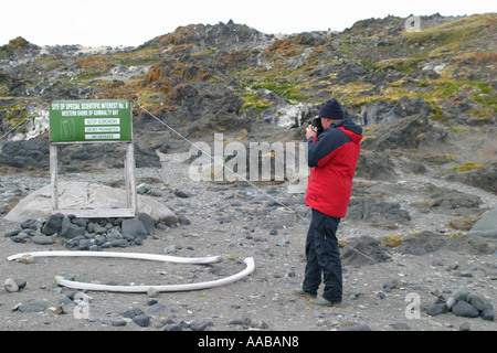 Antarktis Besucher Fotos Wal Rippe Knochen auf steinigen Strand in der Nähe von Arctowski polnischen Forschungsbasis auf King George Island. Stockfoto