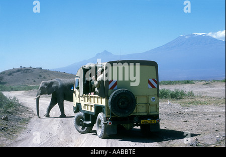 Elefant Kreuzung Straße vor offenen doppelseitige touristischen Fahrzeug Amboseli-Nationalpark Kenia Stockfoto