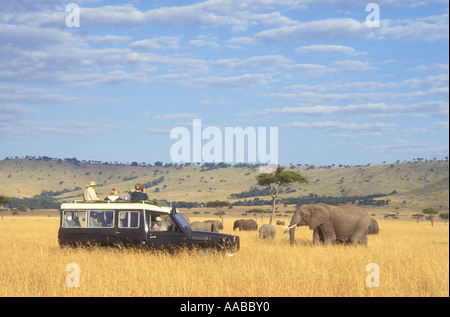 Elefanten in der Nähe von Toyota Landcruiser Masai Mara National Reserve Kenia in Ostafrika Stockfoto