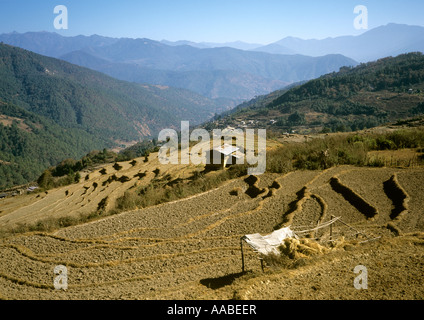 Bhutan-Farm in der Nähe Dochu La Pass Stockfoto