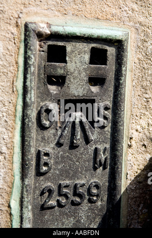 UK Wales Clwyd Chirk Pfarrkirche St. Mary Friedhof alte korrodierte Messing Ordnance Survey benchmark Stockfoto