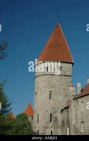 Mittelalterliche Wehrturm in der Stadtmauer von Tallinn Estland Stockfoto