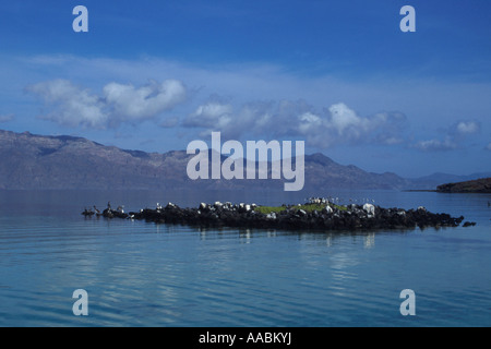 Isla Coronado Baja California Mexiko Stockfoto