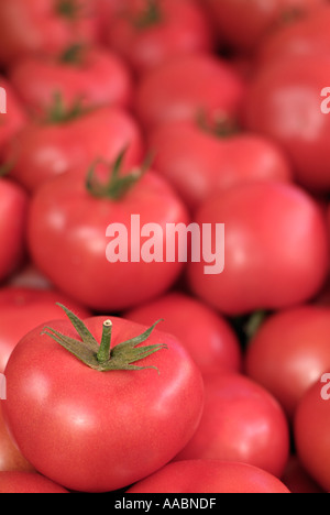 Tomaten Stockfoto