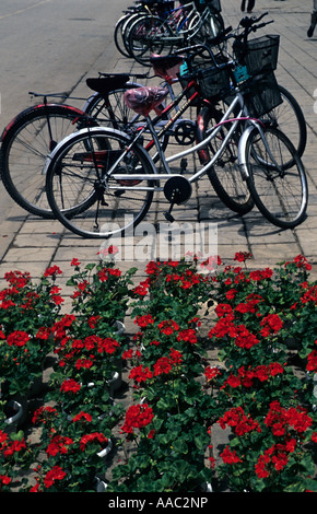 Fahrräder-parked,Kunming,Yunnan,China.Kunming,city des ewigen Frühlings Stockfoto