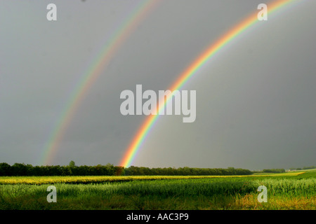 Regenbogen Stockfoto