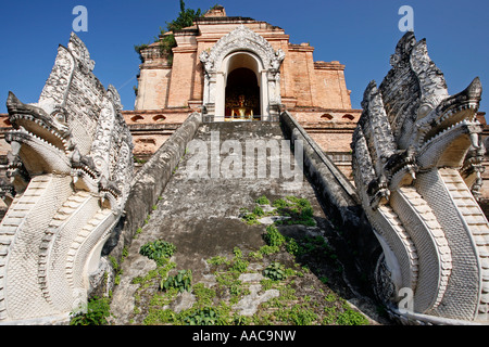 Wat Chedi Luang Chiang Mai Thailand Stockfoto