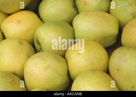Äpfel auf einem Markt Stockfoto