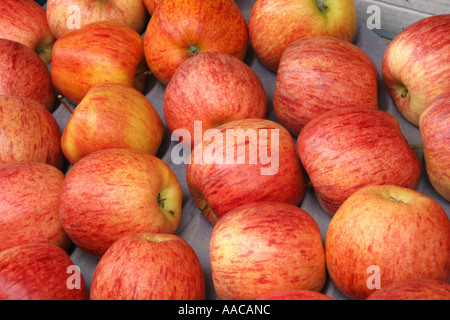 rote Äpfel auf einem Markt Stockfoto