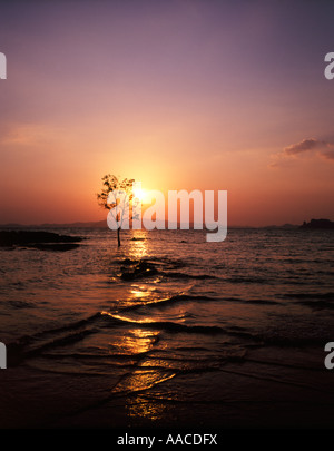 Sonnenuntergang Klong Muang Thailand Stockfoto