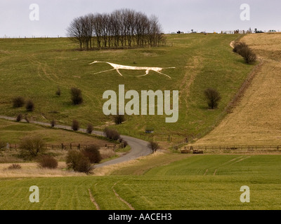 Das Hackpen oder breite Hinton oder Winterbourne Bassett White Horse in der Grafschaft Wiltshire, England, UK Stockfoto