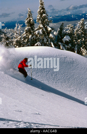 Skifahren den Tiefschnee am Mount Bachelor Ski Area in Zentral-Oregon Stockfoto