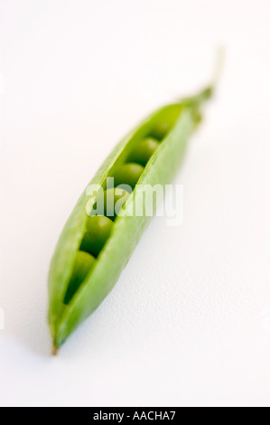 Grüne Erbsen-Pod aufgeschlagen, die Erbsen in Schuss mit engen Schärfentiefe zu sehen Stockfoto