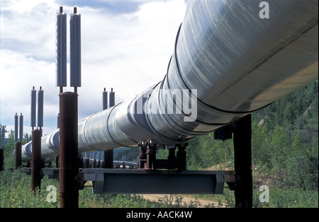 Trans-Alaska-Pipeline in der Nähe von Fairbanks, Alaska, USA Stockfoto