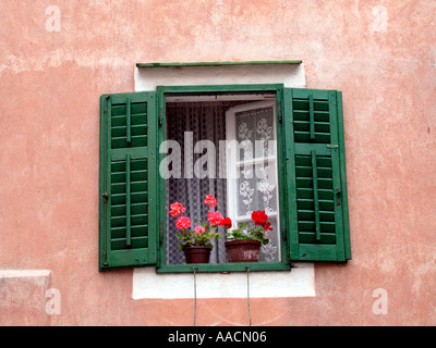 Fenster von einem rosa Haus mit grünen Fensterläden und roten Geranien Stockfoto
