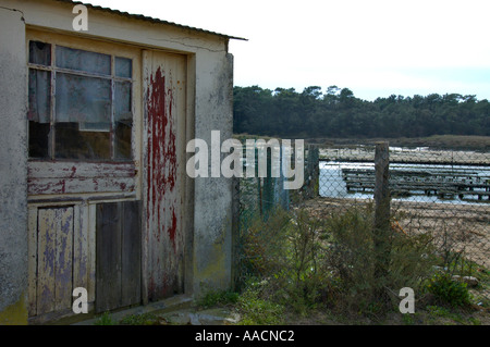 Shanty an einheimische für Oyster Kultur in der Nähe von Talmont Saint Hilaire Vandee Frankreich Stockfoto