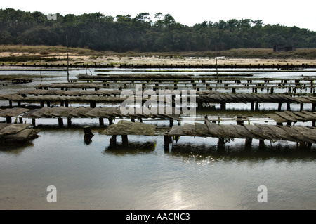 Wasserversogung für Oyster Kultur in der Nähe von Talmont Saint Hilaire Vandee Frankreich Stockfoto