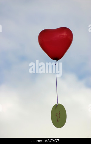 Roten Ballon in Herzform mit Liste der Wünsche Stockfoto