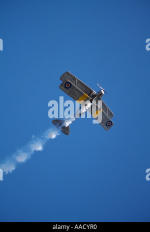 Eine De Havilland Tiger Moth Flugzeug während einer Luft DisplayA De Havilland Tiger Moth im Flug während einer Flugschau Stockfoto