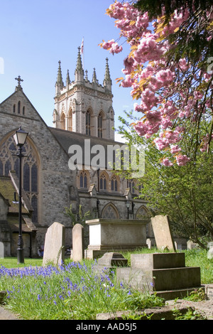 Str. Georges Kirche und Blüte. Beckenham, Kent, England Stockfoto