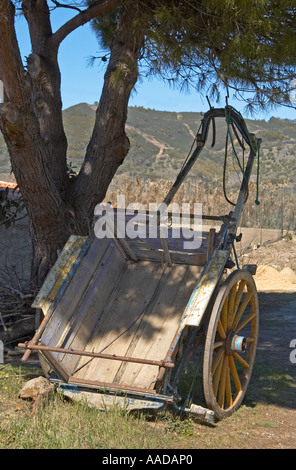 Eselskarren ruht im Schatten der Pinien Baum, Aljezur, Algarve, Portugal Stockfoto