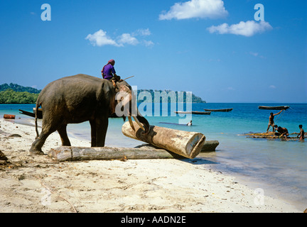 Indien-Andamanen Havelock Island Elefanten bewegen Protokolle vom Strand zu Floß Stockfoto