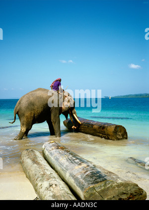 Indien-Andamanen Havelock Island Elefanten bewegen Protokolle vom Strand zu Floß Stockfoto